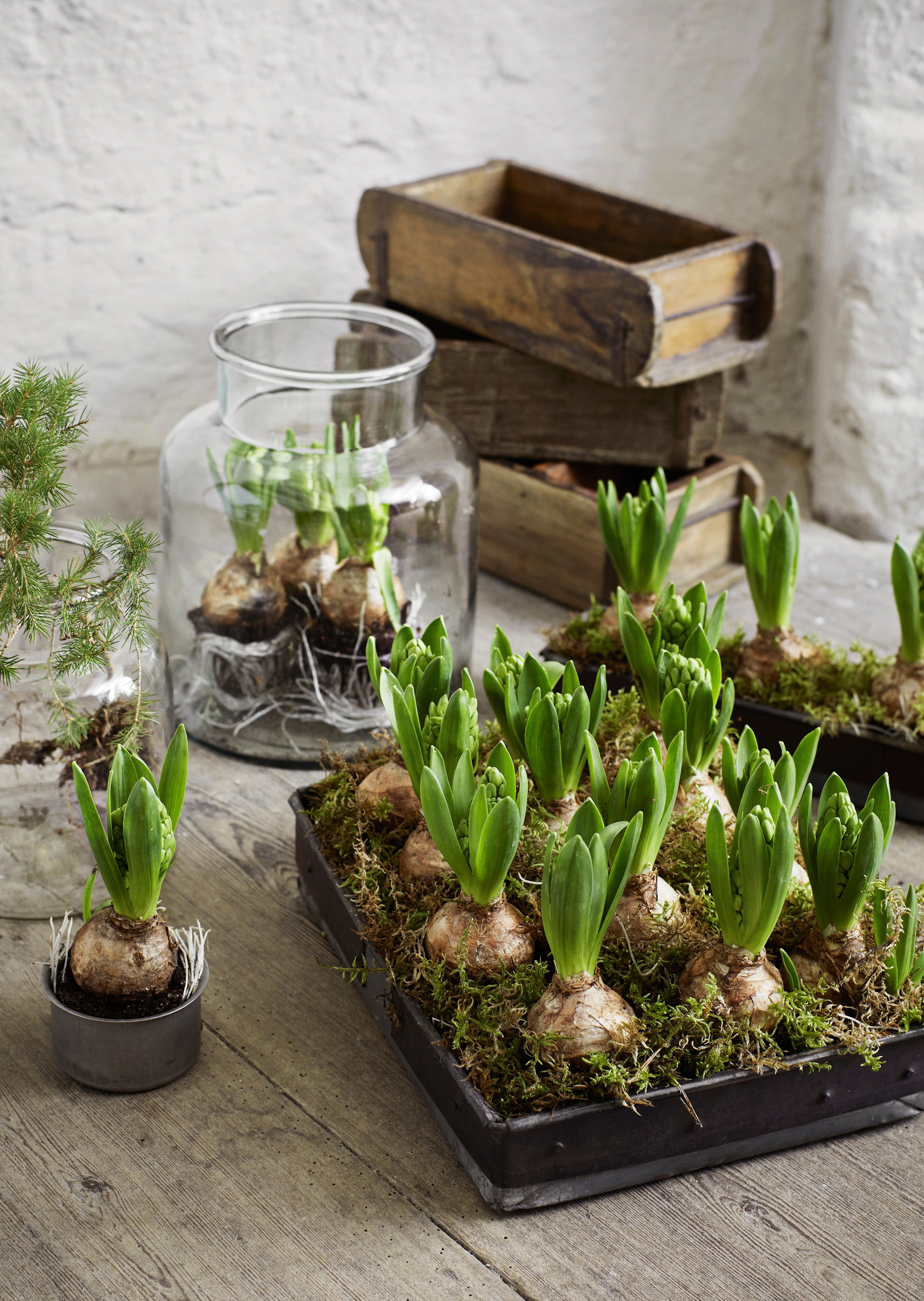 Vase verre recyclé  XL